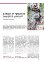 Blattläuse im Apfelanbau Wie geht es weiter nach dem Aus für Imidacloprid?