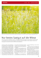 Nur bestes Saatgut auf die Wiese