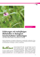 Erfahrungen mit mehrjährigen Blühstreifen in ökologischen bewirtschafteten Apfelanlagen