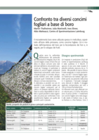 Confronto tra diversi concimi fogliari a base di boro