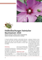 Feldbeobachtungen heimischer Wanzen
