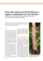Danni alla corteccia di Stark Delicious in seguito a trattamenti con olio minerale