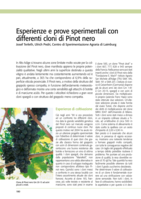 Esperienze e prove sperimentali con differenti cloni di Pinot nero