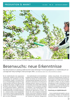 Besenwuchs: neue Erkenntnisse