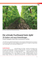 Die schmale Fruchtwand beim Apfel