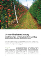 Die maschinelle Entblätterung
