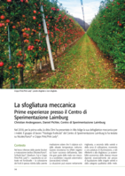 La sfogliatura meccanica