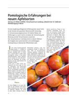 Pomologische Erfahrungen bei neuen Apfelsorten