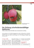 Die Züchtung schorfwiderstandsfähiger Apfelsorten