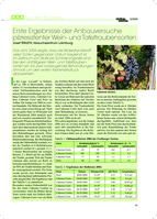 Erste Ergebnisse der Anbauversuche pilzresistenter Wein- und Tafeltraubensorten