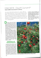 FAW 5878 - Diwa®/ Junami®