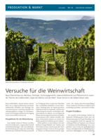 Versuche für die Weinwirtschaft