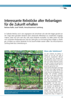 Interessante Rebstöcke alter Rebanlagen für die Zukunft erhalten