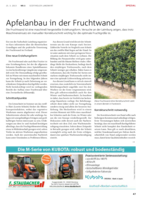 Apfelanbau in der Fruchtwand