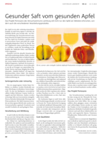 Apfel gesund = Saft gesund?