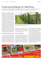Unterstockpflege im Weinbau