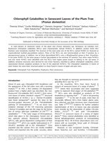 Chlorophyll Catabolites in Senescent Leaves of the Plum Tree (Prunus domestica)