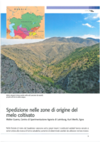 Spedizione nelle zone di origine del melo coltivato