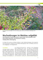 Wuchsstörungen im Weinbau aufgeklärt