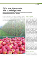Fuji - eine interessante, aber schwierige Sorte