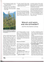 Warum und wann, was wie schneiden?