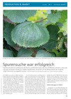 Spurensuche war erfolgreich