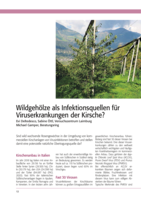 Wildgehölze als Infektionsquellen für Viruserkrankungen der Kirsche?