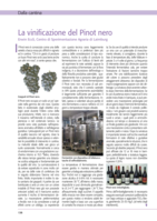 La vinificazione del Pinot nero