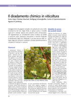 Il diradamento chimico in viticoltura