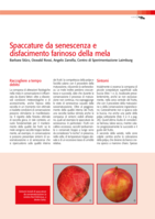 Spaccature da senescenza e disfacimento farinoso della mela