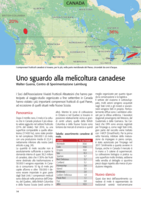 Uno sguardo alla melicoltura canadese