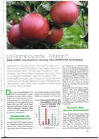 La Flamboyante - Mairac®