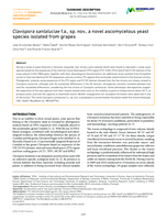 Clavispora santaluciae f.a., sp. nov., a novel ascomycetous yeast species isolated from grapes