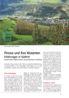 Pinova und ihre Mutanten Erfahrungen in Südtirol