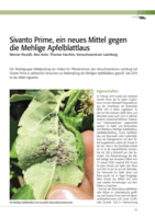 Sivanto Prime, ein neues Mittel gegen die Mehlige Apfellaus