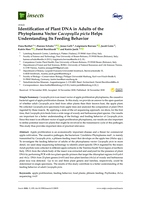 Identification of plant DNA in adults of the phytoplasma vector Cacopsylla picta helps understanding its feeding behavior