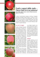 Gusti e sapori delle mele - Ciascun Paese ha le sue preferenze!