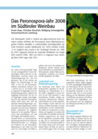 Das Peronospora-Jahr 2008 im Südtiroler Weinbau