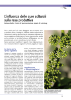 L’influenza delle cure colturali sulla resa produttiva