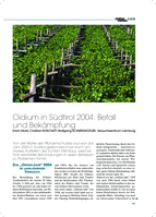 Oidium in Südtirol 2004: Befall und Bekämpfung