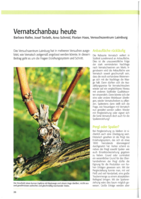 Vernatschanbau heute