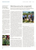 Weinbauversuche vorgestellt