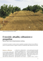 Il nocciolo: attualitá, coltivazione e prospettive