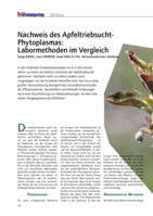 Nachweis des Apfeltriebsucht-Phytoplasmas: Labormethoden im Vergleich