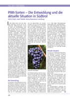 PIWI-Sorten - Die Entwicklung und die aktuelle Situation in Südtirol