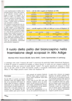 Il ruolo della psilla del biancospino nella trasmissione degli scopazzi in Alto Adige