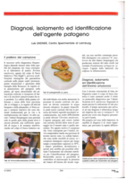 Indagine diagnostica nel materiale vivaistico dell'Alto Adige