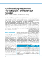 Kurative Wirkung verschiedener Präparate gegen Peronospora auf Topfreben