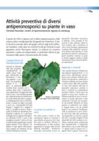 Attività preventiva di diversi antiperonosporici su piante in vaso