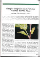 Indagine diagnostica nel materiale vivaistico dell'Alto Adige